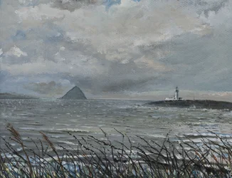 Ailsa Craig from Arran, 2007